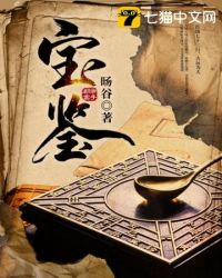 宝鉴打眼小说顶点