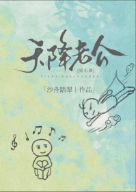 天降老公娱乐圈同类型小说推荐